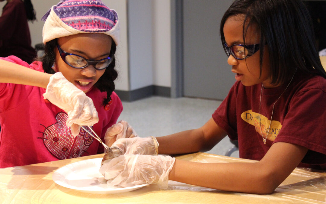 Ann Arbor Hands-On Museum and Leslie Science & Nature Center: Creating Moments of Discovery